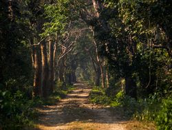 20211002143426 Bardiya National Park road